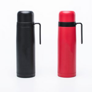 insulated water bottle with handle&cap