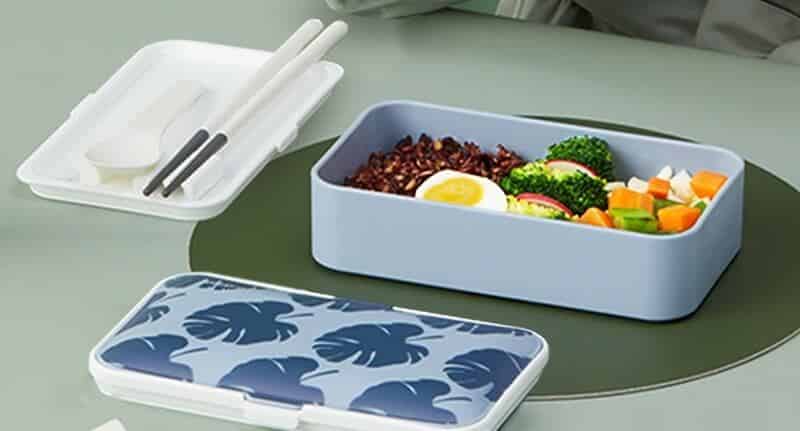 Which insulated lunch box is best 1 - Best Insulated Lunch Box: Where to Find and How to Buy?